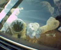 The parcel shelf of a car with a collection of Nodding Dogs. The largest is missing its head.